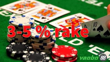 Rake là gì? Phí rake trong trò chơi poker nổi tiếng