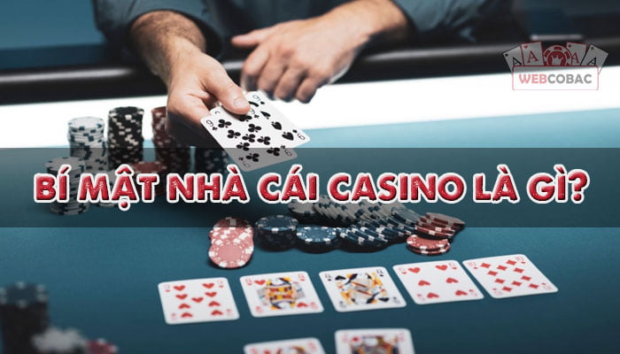 bí mật casino