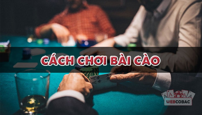 cách chơi bài cào