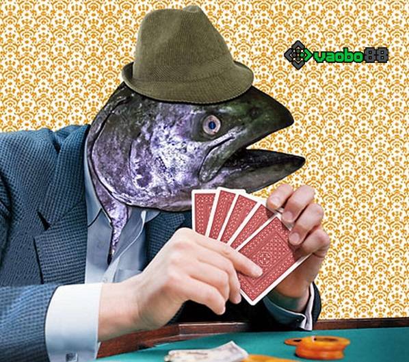 cách nhận biết người chơi tồi trong poker