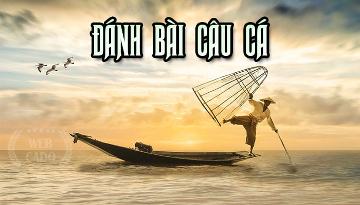 đánh bài câu cá là gì