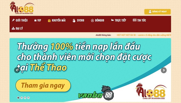 nhà cái alo88 lừa đảo