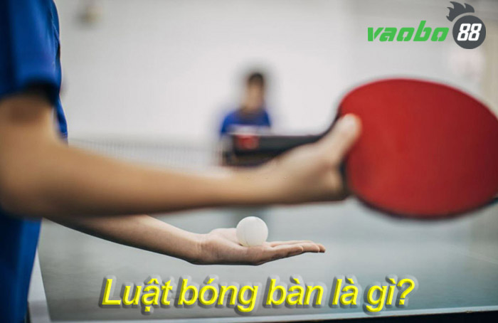 Luật bóng bàn cơ bản và chi tiết từ A đến Z [Cập Nhật 2024]