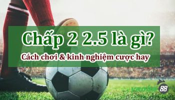 Kèo chấp 2 2.5 là gì? Tất tần tật về kèo 2.25 trái