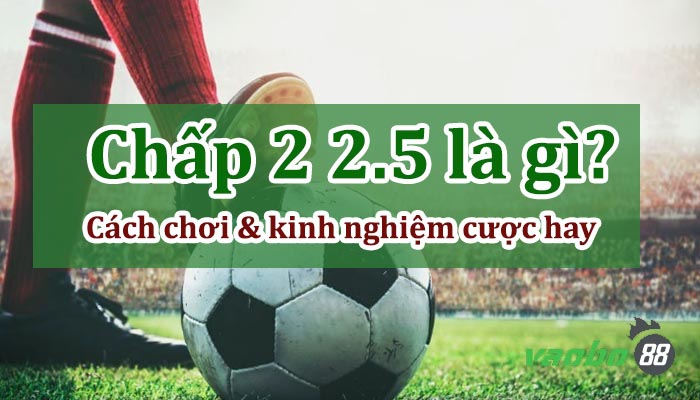 Kèo chấp 2 2.5 là gì? Tất tần tật về kèo 2.25 trái