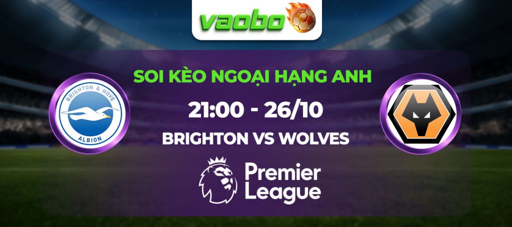 Soi kèo Brighton đấu với Wolves 21h00 ngày 26/10: Bầy Sói tiếp tục chìm sâu