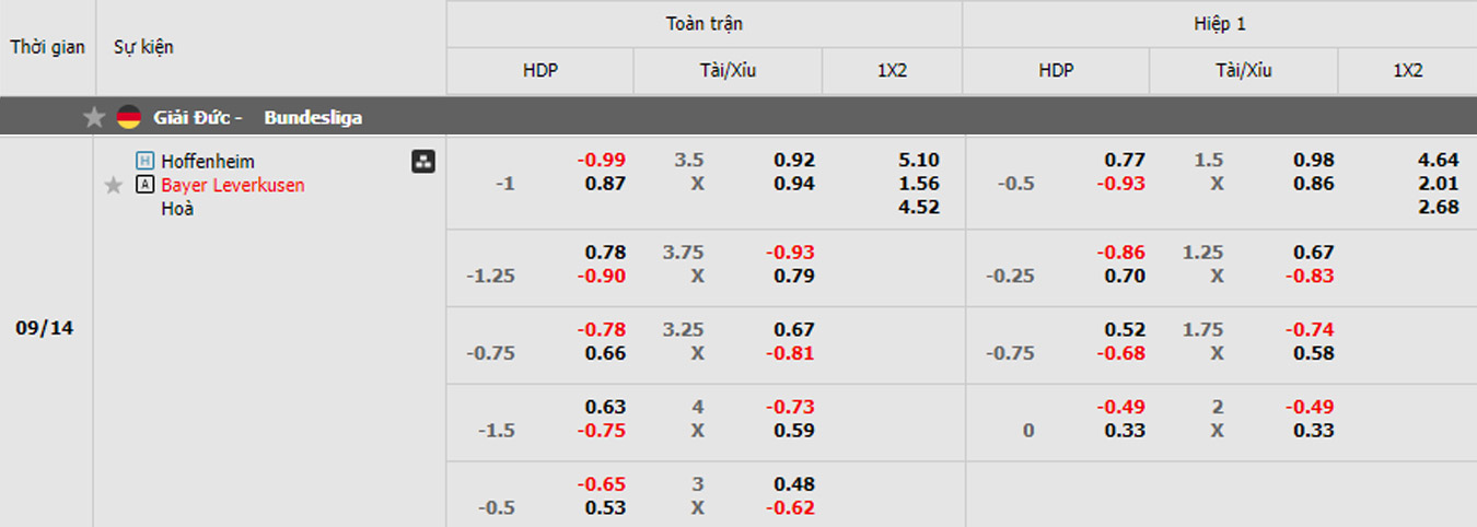 soi kèo trận Hoffenheim vs Bayer Leverkusen